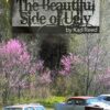 Joseph: (Book 20) The Beautiful Side of Ugly